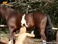 [ PornL Zoophilia Porn ] Blonde chick loves licking and sucking a horse&#039;s penis